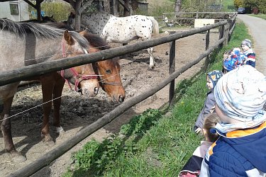 Obrázek č.23